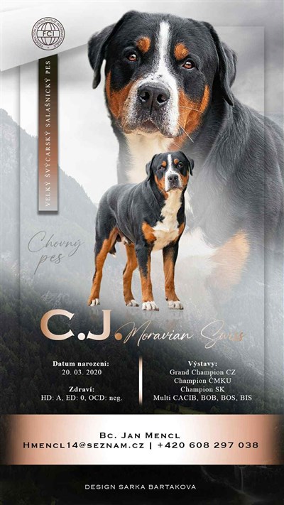 C.J Moravian Swiss "Douglas"