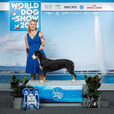 GRAND PRIX DE GENEVE - BEST OF BREED