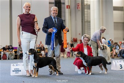 WORLD WINNER 2025 HELSINKI