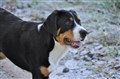 DSC_0064RED.jpg