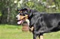 DSC_0289red.jpg