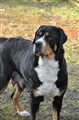 DSC_0730.JPG