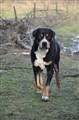 DSC_0841.JPG