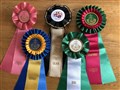 EbbachampionGimorosetter.jpg